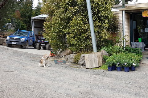 Day Tour Of Yarra Valley Puffing Billy And Rayners Orchard - Accommodation Main Beach 6