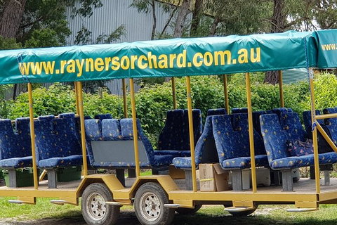 Day Tour Of Yarra Valley Puffing Billy And Rayners Orchard - Accommodation Main Beach 33