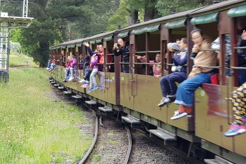 Day Tour Of Yarra Valley Puffing Billy And Rayners Orchard - Accommodation Main Beach 13