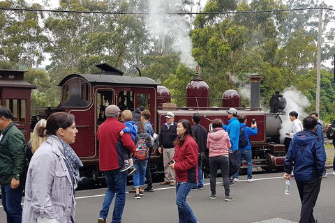 Day Tour Of Yarra Valley Puffing Billy And Rayners Orchard - Accommodation Main Beach 4