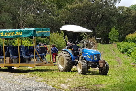 Day Tour Of Yarra Valley Puffing Billy And Rayners Orchard - Accommodation Main Beach 25