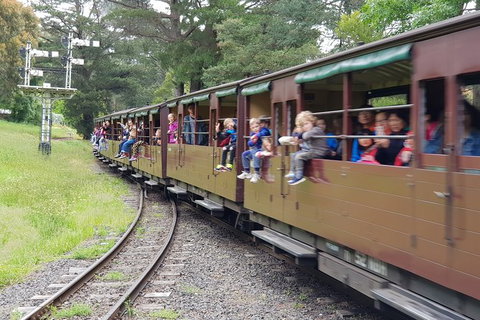 Day Tour Of Yarra Valley Puffing Billy And Rayners Orchard - Accommodation Main Beach 24