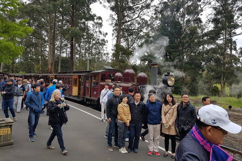 Day Tour Of Yarra Valley Puffing Billy And Rayners Orchard - Accommodation Main Beach 9