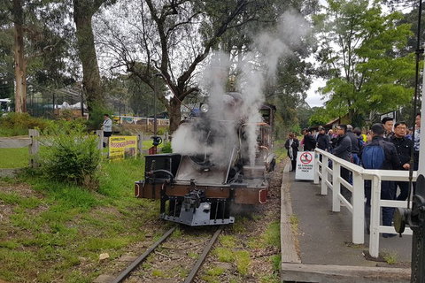 Day Tour Of Yarra Valley Puffing Billy And Rayners Orchard - Accommodation Main Beach 43
