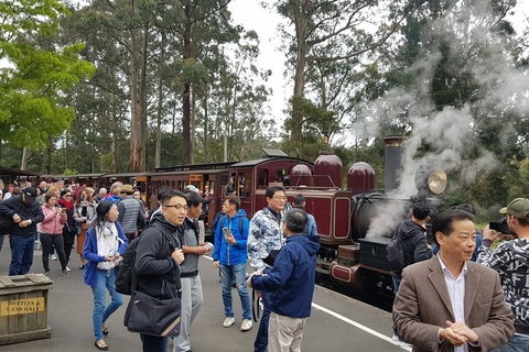 Day Tour Of Yarra Valley Puffing Billy And Rayners Orchard - Accommodation Main Beach 12