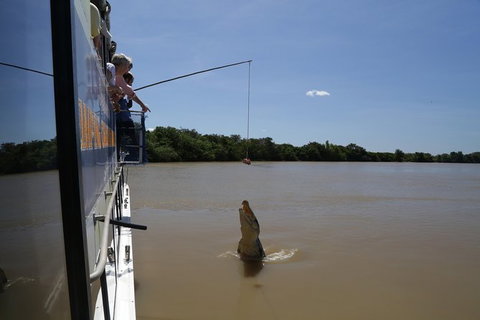 Darwin City Sights And Jumping Crocodile Cruise - Accommodation Main Beach 2
