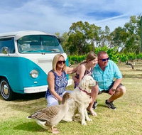 Half Day VW Kombi Food and Wine tour - Accommodation Main Beach