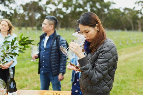 Organic Vineyard/Farm Tour - Accommodation Main Beach 1