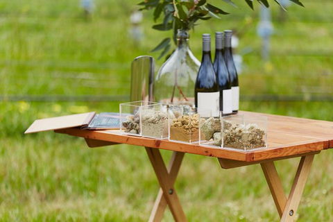 Organic Vineyard/Farm Tour - Accommodation Main Beach 3