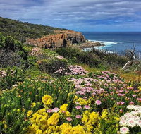 Guided Walks on the Cape to Cape - Moses Rock to Ellenbrook - Accommodation Main Beach