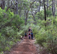 Guided Walks on the Cape to Cape - Skippy Rock - Accommodation Main Beach
