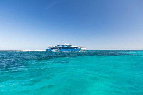 Rottnest Island Bike, Snorkel & Ferry Package From Perth - Accommodation Main Beach 3