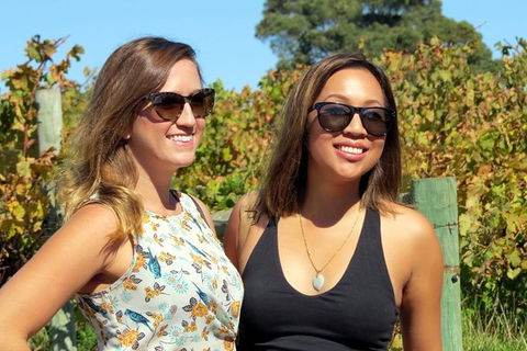 Margaret River Beer & Wine Adventure (departs Dunsborough/Busselton) - Accommodation Main Beach 1