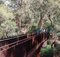 Sixty Foot Falls Guided Hike - Accommodation Main Beach