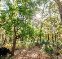 Kitty's Gorge Guided Hike - Accommodation Main Beach