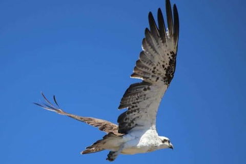 Romance Aircraft Flight + Scenic Tour + 3 Course Lunch + Beer Tasting + Hamper - Accommodation Main Beach 4