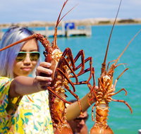 Rock lobster Pot Pull Tour in Kalbarri - Accommodation Main Beach