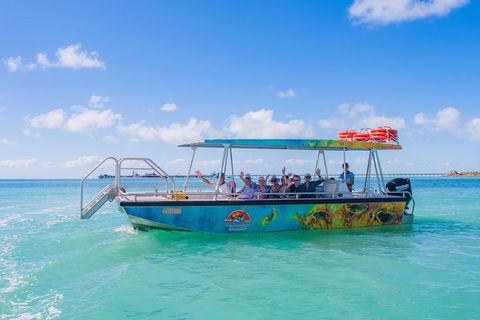The Island Sandbar Experience - Accommodation Main Beach 5