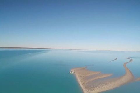 The Island Sandbar Experience - Accommodation Main Beach 7