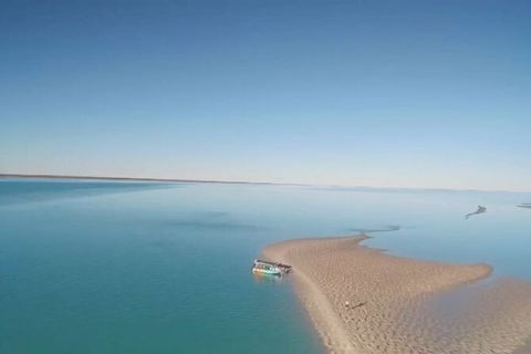 The Island Sandbar Experience - Accommodation Main Beach 6