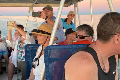 The Island Sandbar Experience - Accommodation Main Beach 3