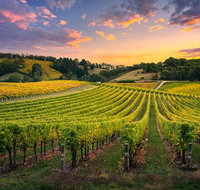 Swan Valley Sunset Wine Tour - Premium Small Group Tour - Accommodation Main Beach