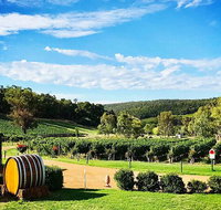 Bickley Valley Wine  Cider Tour - Premium Small Group Tour - Accommodation Main Beach