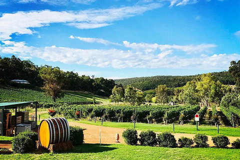 Bickley Valley Wine & Cider Tour - Premium Small Group Tour - Accommodation Main Beach 0