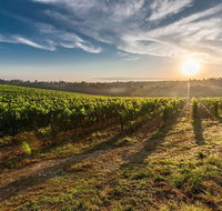 Perth to Margaret River Wine Tour - 2 Day Premium Boutique Wine Tour Experience - Accommodation Main Beach