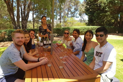 Full-Day Gourmet Wine Tour With Pick Up And Lunch - Accommodation Main Beach 5