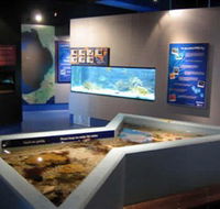 Marine and Freshwater Discovery Centre - Accommodation Main Beach