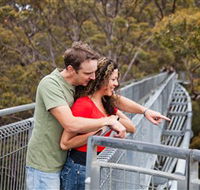 Valley of the Giants Tree Top Walk - Accommodation Main Beach