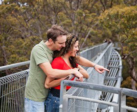 Valley Of The Giants Tree Top Walk - Accommodation Main Beach 0