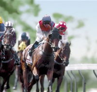 Colac Turf Club - Accommodation Main Beach