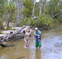 Tjuwaliyn / Douglas Hot Springs Park - Accommodation Main Beach