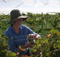 Kingsdale Wines - Accommodation Main Beach