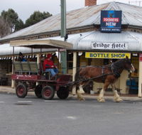 Bathurst Farm Experience - Accommodation Main Beach
