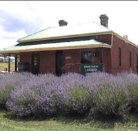 Lavender House in Railway Park - Accommodation Main Beach