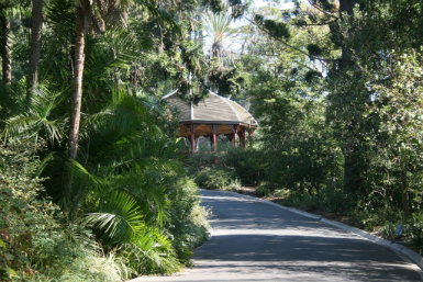Royal Botanic Gardens Victoria - Accommodation Main Beach 0