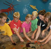 Naturaliste Marine Discovery Centre - Accommodation Main Beach