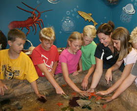 Naturaliste Marine Discovery Centre - Accommodation Main Beach 0