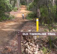 Old Timberline and Sidings Rail Trails - Accommodation Main Beach