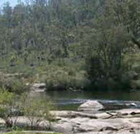 Wellington Discovery Forest - Accommodation Main Beach