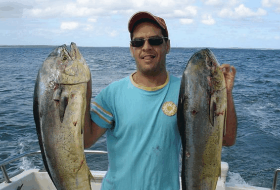 Jervis Bay Fishing and Charters - Accommodation Main Beach