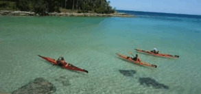 Jervis Bay Kayak & Paddlesports - Accommodation Main Beach 4