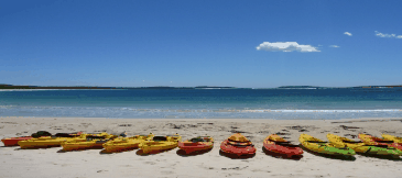 Jervis Bay Kayak & Paddlesports - Accommodation Main Beach 5