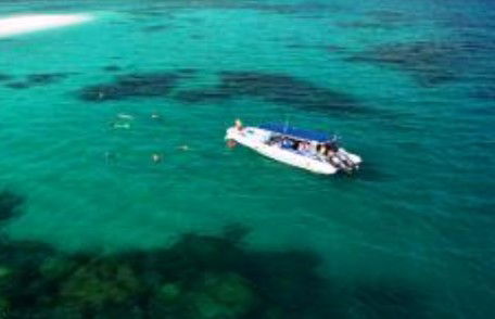 Ocean Safari - Accommodation Main Beach 1