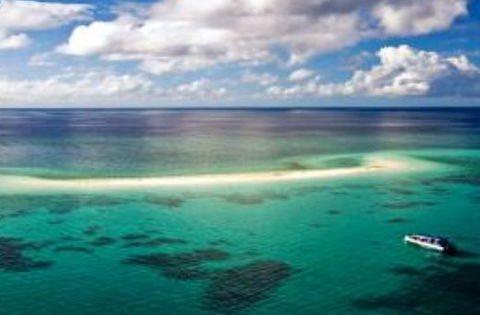 Ocean Safari - Accommodation Main Beach 2