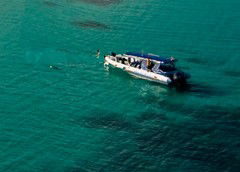 Ocean Safari - Accommodation Main Beach 5