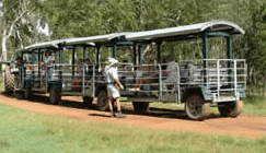 Whitsunday Crocodile Safari - Accommodation Main Beach 2